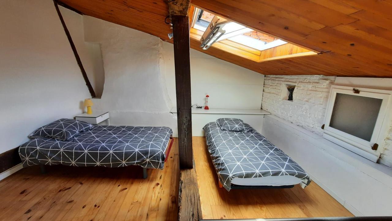 Promo24-31Mai 4Personnes Toulouse 15Mn 4 Lits Cuisine Sde Wc Leilighet Montastruc-la-Conseillère Eksteriør bilde